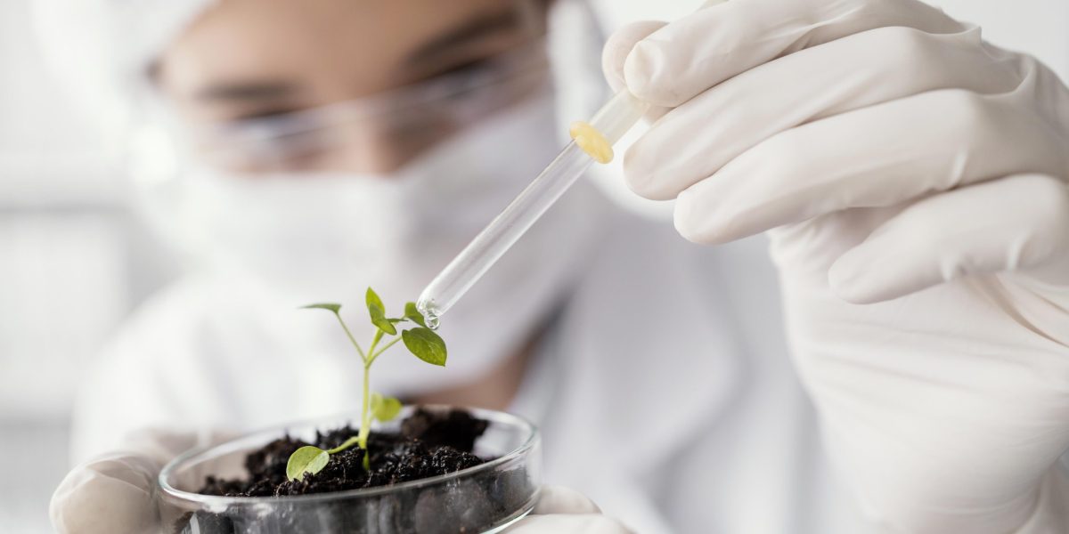 Agriculture lab scientist watering